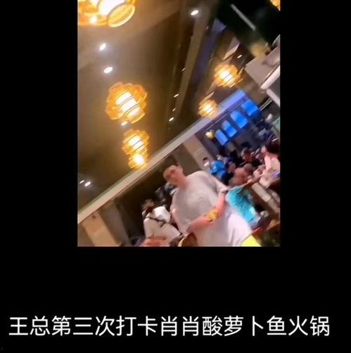 王思聪爆料餐厅视频,揭秘奢华背后的真实一面 第2张 王思聪爆料餐厅视频,揭秘奢华背后的真实一面 第2张