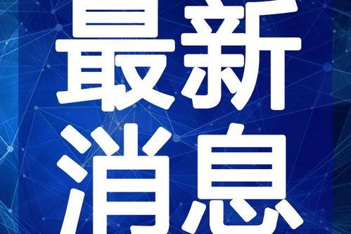火影山鸡鱼最新爆料视频,揭秘忍者世界惊天秘密！
