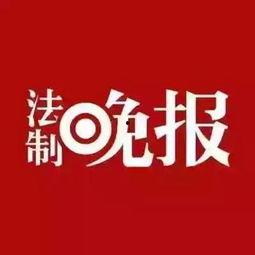 山东趣事新闻爆料,趣事新闻爆料揭示民间趣味故事 第1张 山东趣事新闻爆料,趣事新闻爆料揭示民间趣味故事 第1张