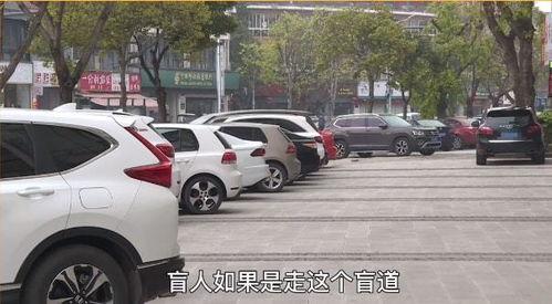 多人停车官方爆料视频,多人停车挑战背后的惊险瞬间