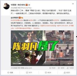 阜阳事件大爆料视频最新,真相与内幕深度剖析  第2张