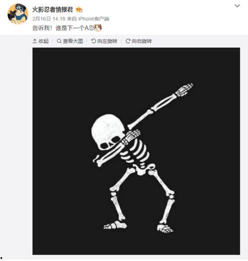 一月高招a最新爆料,独家爆料带你直击高考招生前沿” 第3张 一月高招a最新爆料,独家爆料带你直击高考招生前沿” 第3张