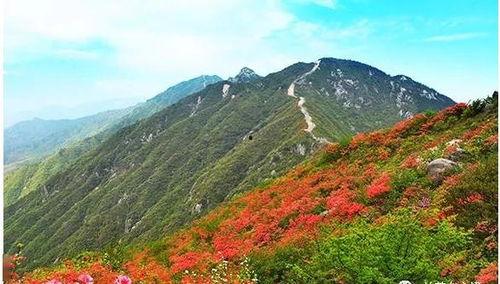 武汉爆料黄龙山事件视频,揭秘网络热议的真相瞬间