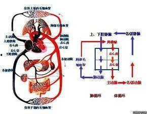 特别病栋全集在线观看,揭秘生死边缘的惊心动魄故事 第1张 特别病栋全集在线观看,揭秘生死边缘的惊心动魄故事 第1张