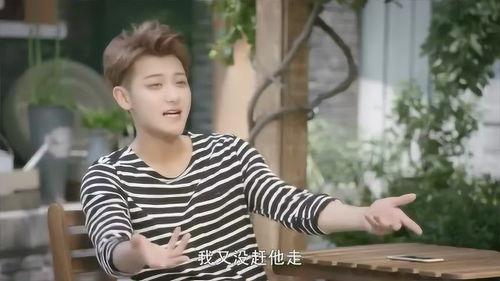 郑柏旭爆料杨真真视频,真相背后引人深思