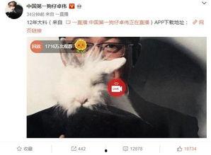 爆料泰国事件视频大全最新,揭秘惊心动魄的幕后真相 第3张 爆料泰国事件视频大全最新,揭秘惊心动魄的幕后真相 第3张