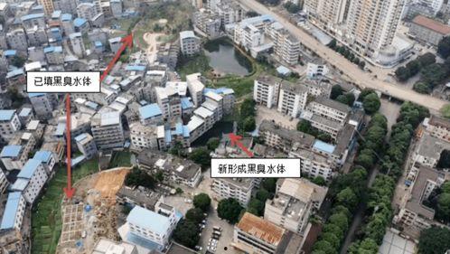 吃瓜黑网爆料最新耒阳市,吃瓜黑网爆料揭秘 第3张 吃瓜黑网爆料最新耒阳市,吃瓜黑网爆料揭秘 第3张