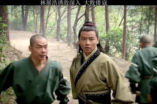 少林荡倭英豪在线观看,传奇英雄的抗日传奇  第1张