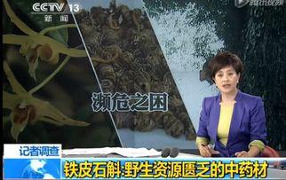 草神爆料舅舅视频大全,揭秘神秘爆料背后的故事 第2张 草神爆料舅舅视频大全,揭秘神秘爆料背后的故事 第2张