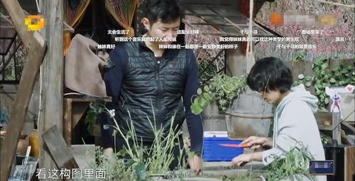 草神爆料舅舅视频大全,揭秘神秘爆料背后的故事 第3张 草神爆料舅舅视频大全,揭秘神秘爆料背后的故事 第3张