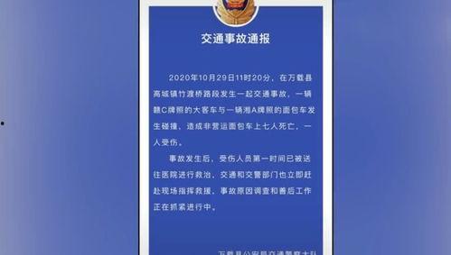 重庆爆料大足事件最新进展,揭秘真相与后续影响 第2张 重庆爆料大足事件最新进展,揭秘真相与后续影响 第2张