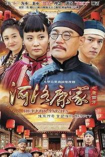 河洛康家在线观看,在线揭秘神秘家族传承之谜  第2张