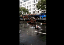 中山车祸最新爆料视频大全,现场惨状与事故原因深度解析 第1张 中山车祸最新爆料视频大全,现场惨状与事故原因深度解析 第1张