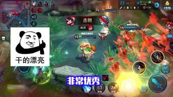 巨龙王者爆料视频大全最新,揭秘神秘巨龙世界