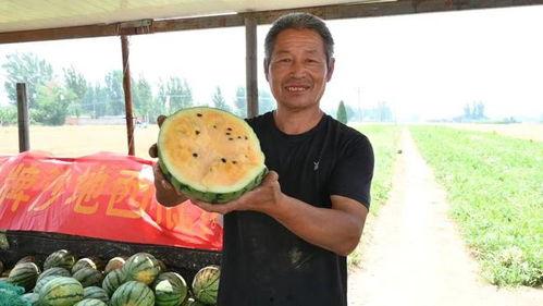 高阳最新吃瓜爆料,娱乐圈风云再起，神秘事件背后真相揭晓  第3张