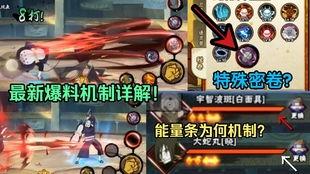 1月高招s最新爆料,独家爆料带你直击招生现场  第3张