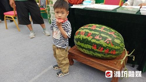 娱乐吃瓜带货,娱乐圈吃瓜达人带你解锁带货新姿势 第3张 娱乐吃瓜带货,娱乐圈吃瓜达人带你解锁带货新姿势 第3张